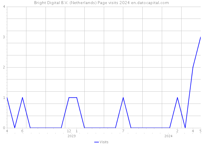 Bright Digital B.V. (Netherlands) Page visits 2024 