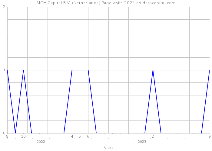 MCH Capital B.V. (Netherlands) Page visits 2024 