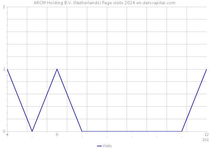 ARCM Holding B.V. (Netherlands) Page visits 2024 