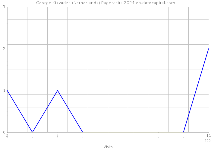 George Kikvadze (Netherlands) Page visits 2024 