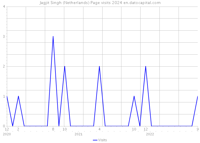 Jagjit Singh (Netherlands) Page visits 2024 