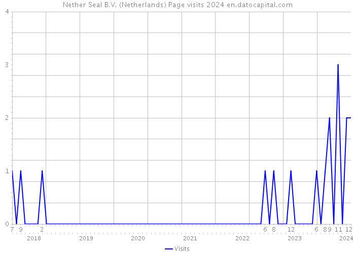 Nether Seal B.V. (Netherlands) Page visits 2024 