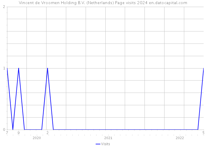 Vincent de Vroomen Holding B.V. (Netherlands) Page visits 2024 