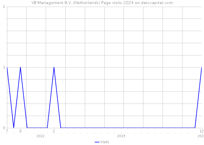 VB Management B.V. (Netherlands) Page visits 2024 