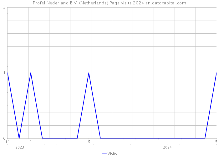 Profel Nederland B.V. (Netherlands) Page visits 2024 