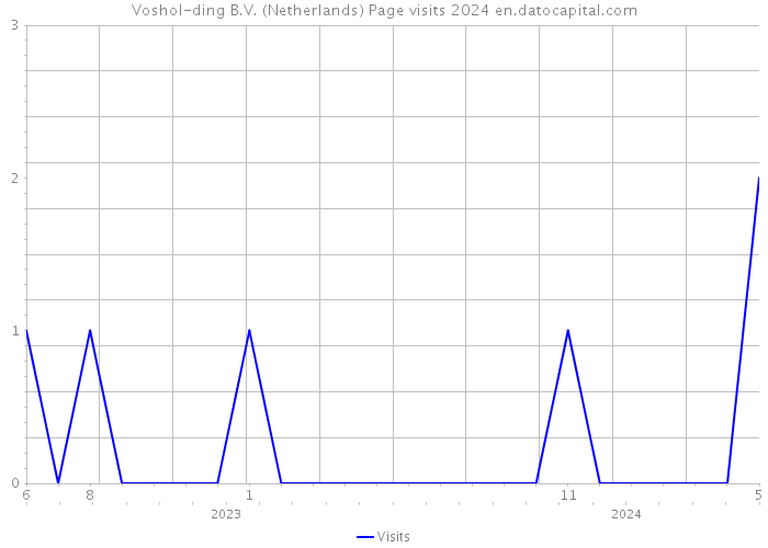 Voshol-ding B.V. (Netherlands) Page visits 2024 