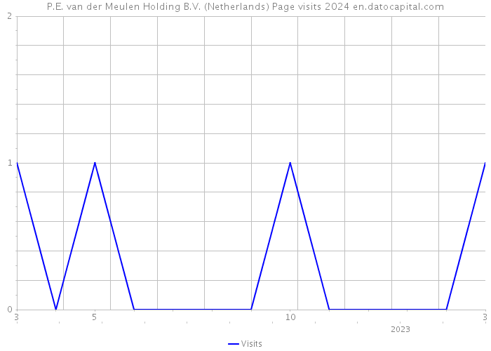 P.E. van der Meulen Holding B.V. (Netherlands) Page visits 2024 