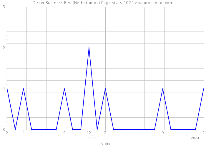 Direct Business B.V. (Netherlands) Page visits 2024 