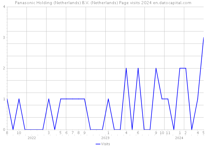 Panasonic Holding (Netherlands) B.V. (Netherlands) Page visits 2024 