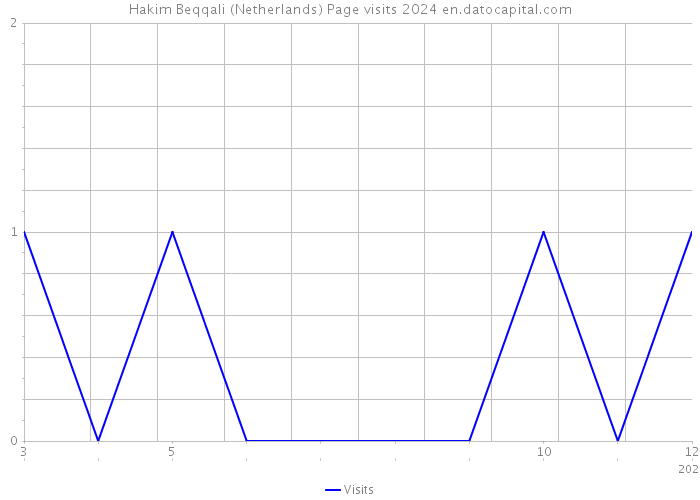 Hakim Beqqali (Netherlands) Page visits 2024 