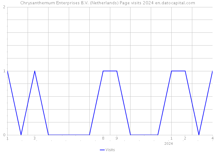 Chrysanthemum Enterprises B.V. (Netherlands) Page visits 2024 