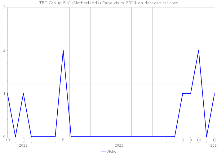 TFC Group B.V. (Netherlands) Page visits 2024 