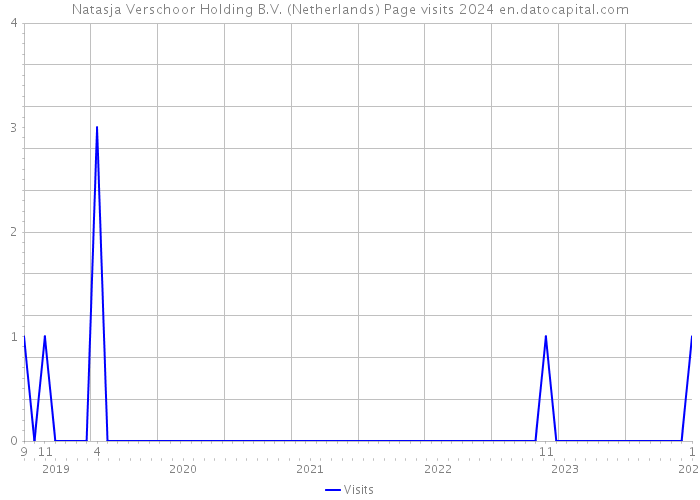 Natasja Verschoor Holding B.V. (Netherlands) Page visits 2024 