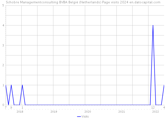 Schobre Managementconsulting BVBA België (Netherlands) Page visits 2024 
