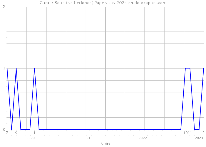 Gunter Bolte (Netherlands) Page visits 2024 