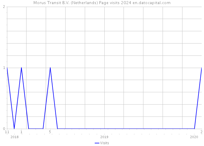 Morus Transit B.V. (Netherlands) Page visits 2024 