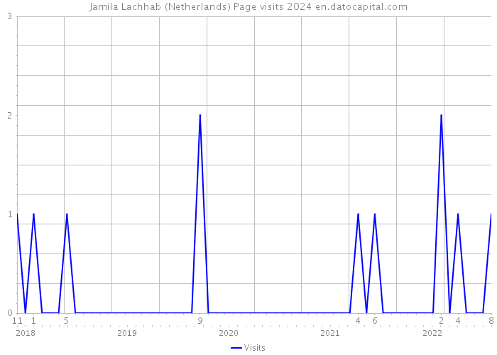 Jamila Lachhab (Netherlands) Page visits 2024 