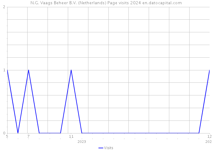 N.G. Vaags Beheer B.V. (Netherlands) Page visits 2024 
