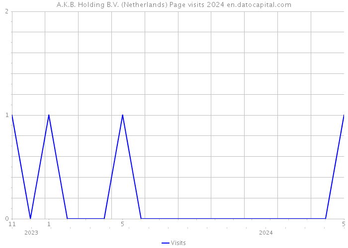 A.K.B. Holding B.V. (Netherlands) Page visits 2024 