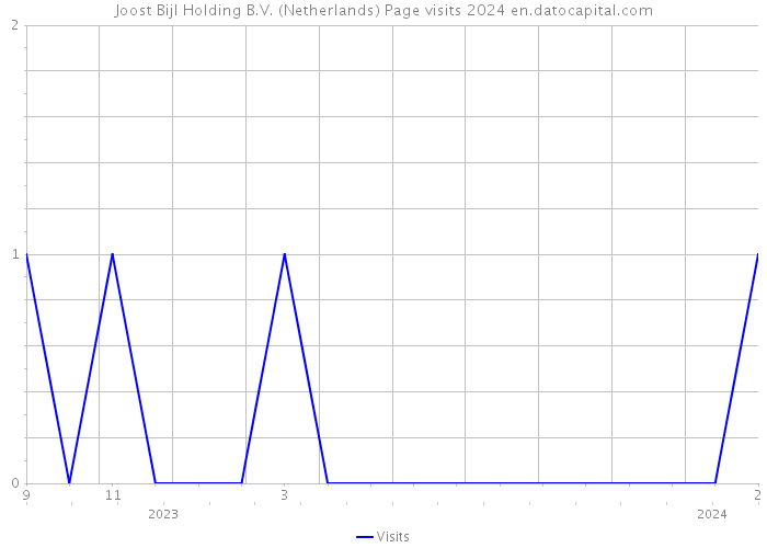 Joost Bijl Holding B.V. (Netherlands) Page visits 2024 