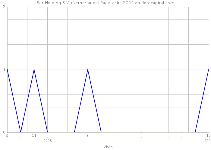 Bor Holding B.V. (Netherlands) Page visits 2024 