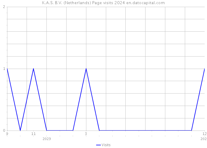 K.A.S. B.V. (Netherlands) Page visits 2024 
