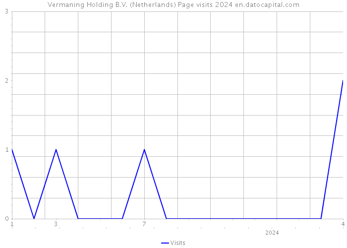 Vermaning Holding B.V. (Netherlands) Page visits 2024 