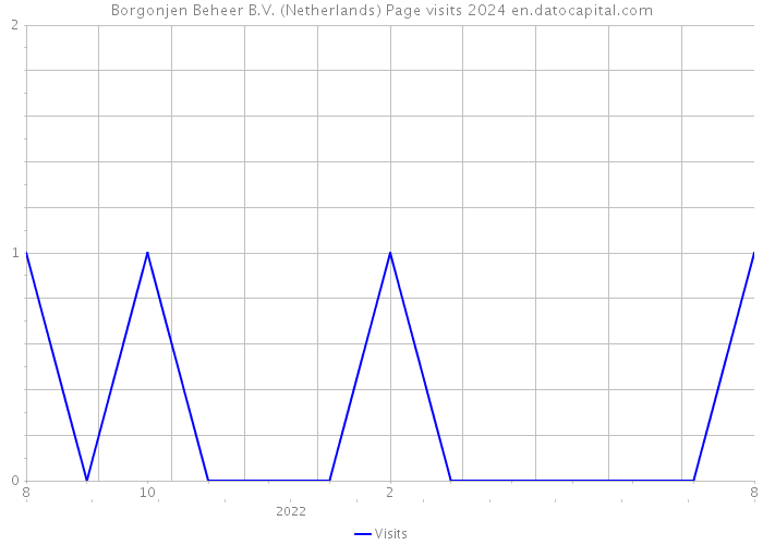 Borgonjen Beheer B.V. (Netherlands) Page visits 2024 