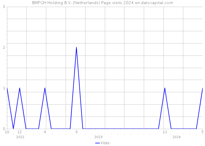 BMFGH Holding B.V. (Netherlands) Page visits 2024 