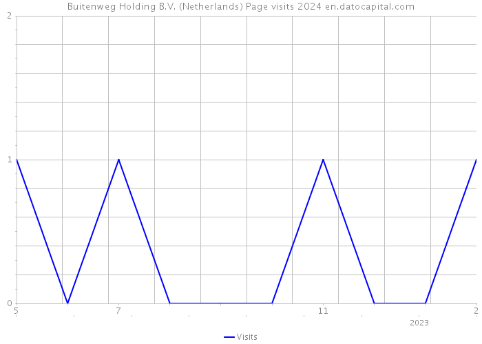 Buitenweg Holding B.V. (Netherlands) Page visits 2024 