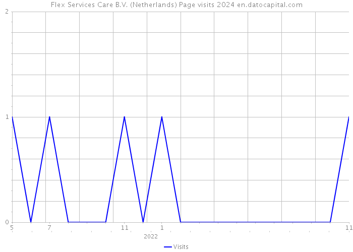 Flex Services Care B.V. (Netherlands) Page visits 2024 