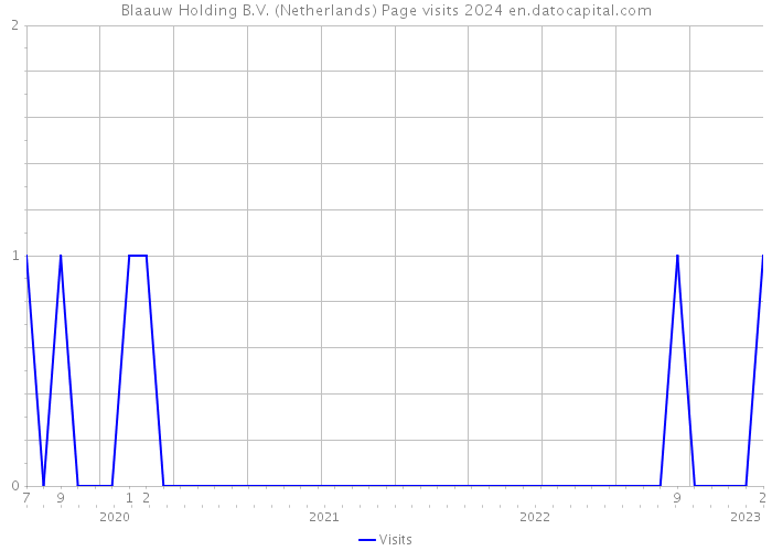 Blaauw Holding B.V. (Netherlands) Page visits 2024 