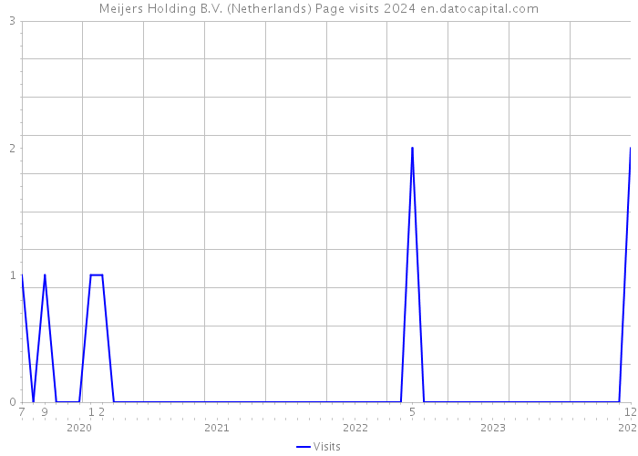 Meijers Holding B.V. (Netherlands) Page visits 2024 