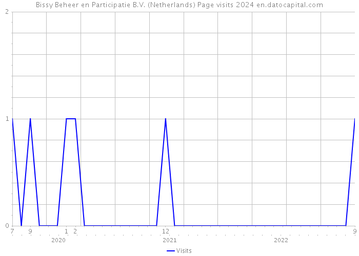 Bissy Beheer en Participatie B.V. (Netherlands) Page visits 2024 