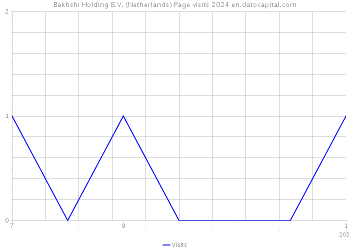 Bakhshi Holding B.V. (Netherlands) Page visits 2024 