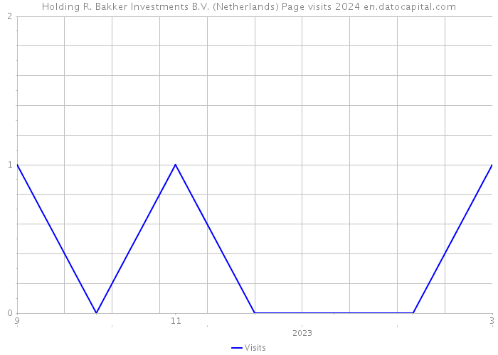 Holding R. Bakker Investments B.V. (Netherlands) Page visits 2024 