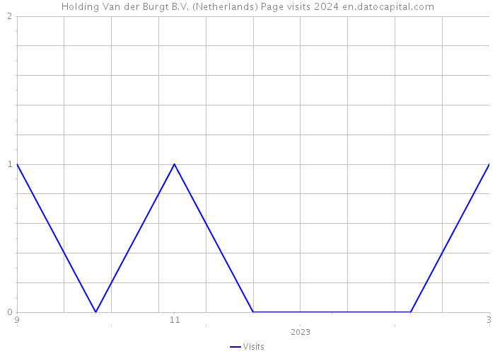 Holding Van der Burgt B.V. (Netherlands) Page visits 2024 