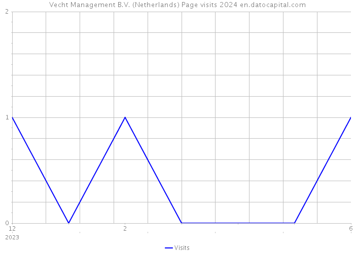 Vecht Management B.V. (Netherlands) Page visits 2024 