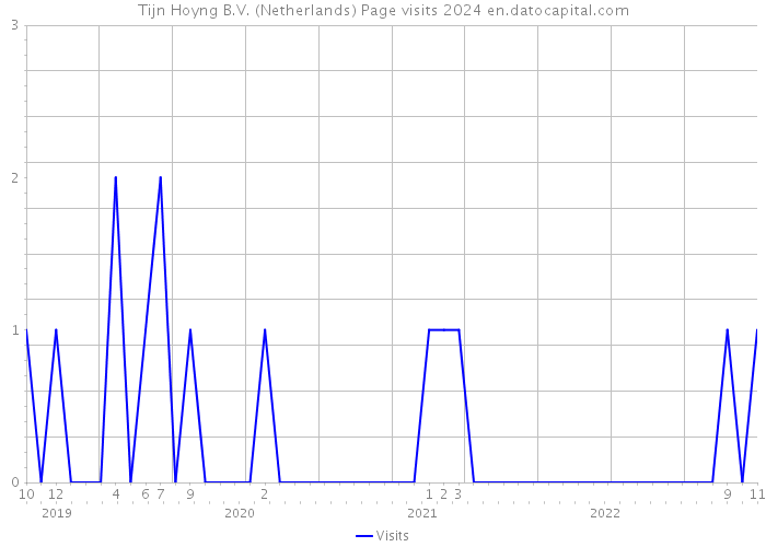 Tijn Hoyng B.V. (Netherlands) Page visits 2024 