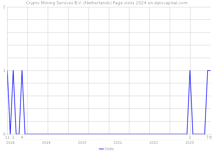 Crypto Mining Services B.V. (Netherlands) Page visits 2024 