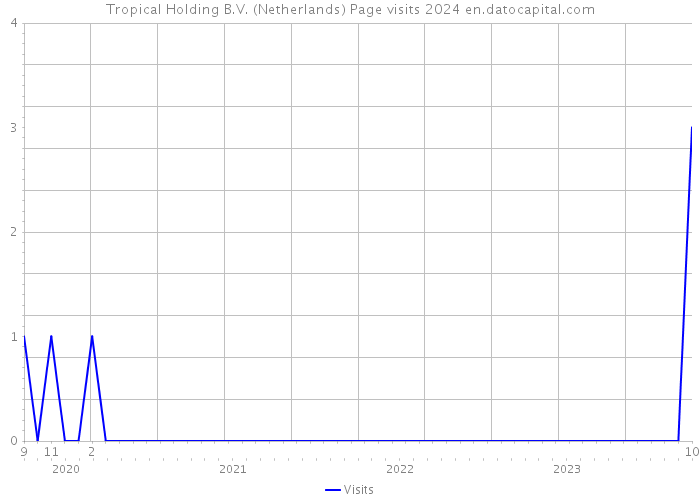 Tropical Holding B.V. (Netherlands) Page visits 2024 