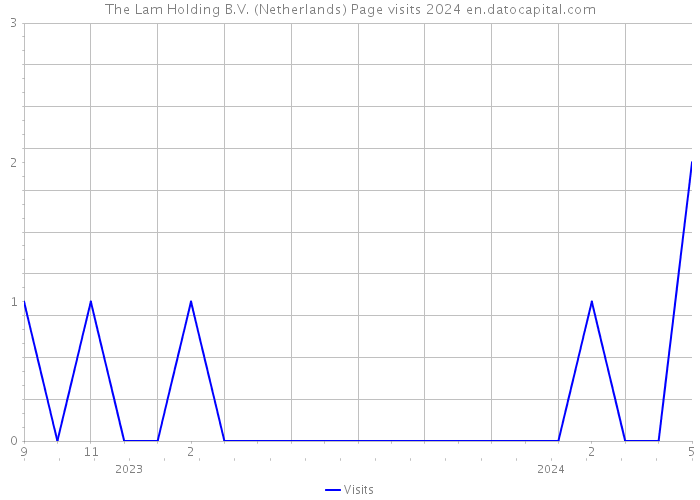 The Lam Holding B.V. (Netherlands) Page visits 2024 