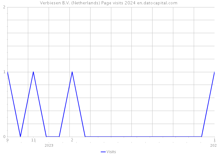 Verbiesen B.V. (Netherlands) Page visits 2024 