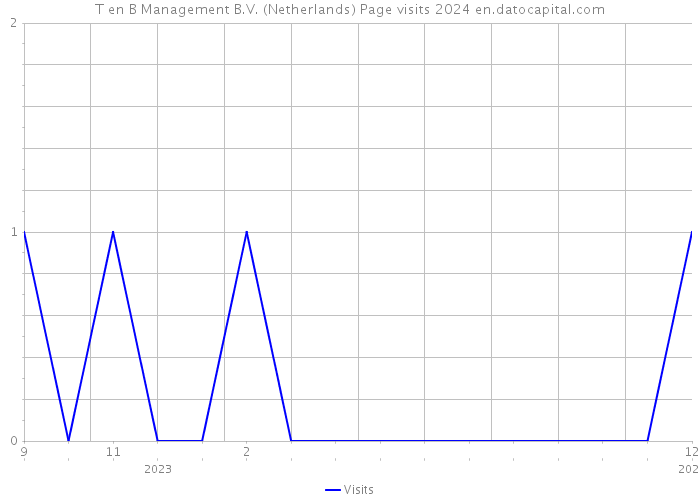 T en B Management B.V. (Netherlands) Page visits 2024 