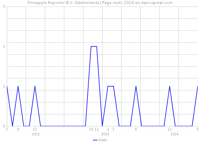 Pineapple Reporter B.V. (Netherlands) Page visits 2024 