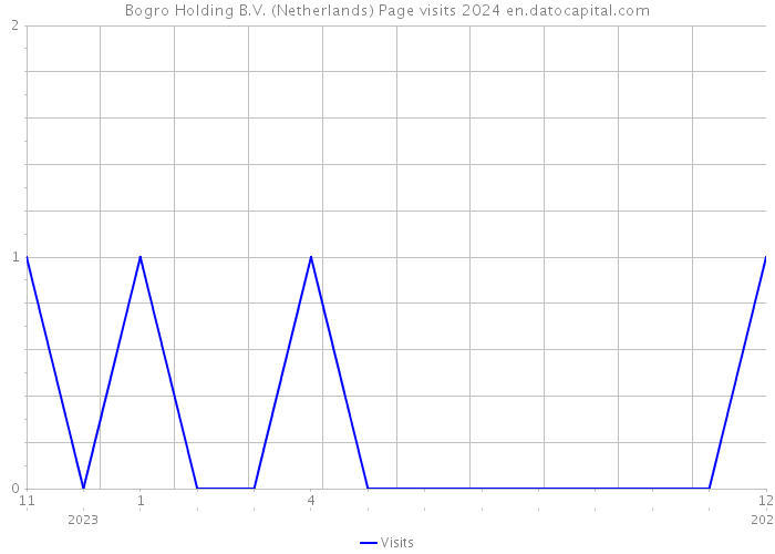 Bogro Holding B.V. (Netherlands) Page visits 2024 