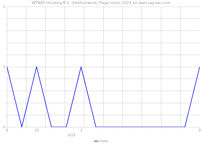 WT&ES Holding B.V. (Netherlands) Page visits 2024 