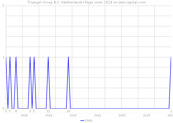 Triangel Groep B.V. (Netherlands) Page visits 2024 