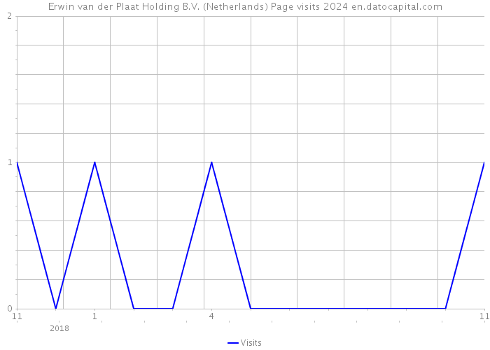 Erwin van der Plaat Holding B.V. (Netherlands) Page visits 2024 