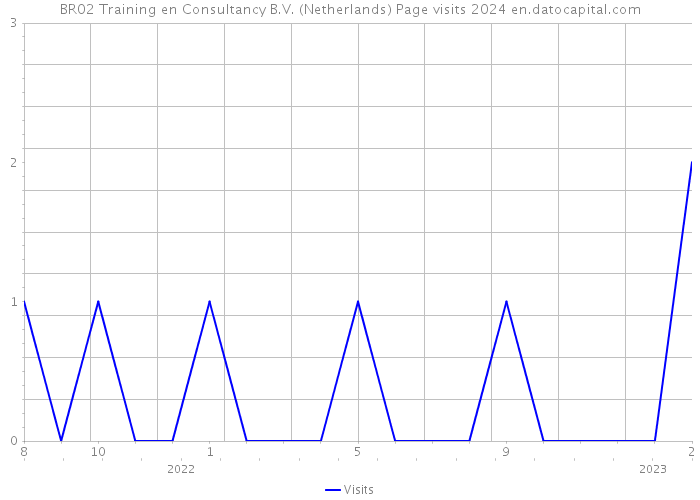 BR02 Training en Consultancy B.V. (Netherlands) Page visits 2024 